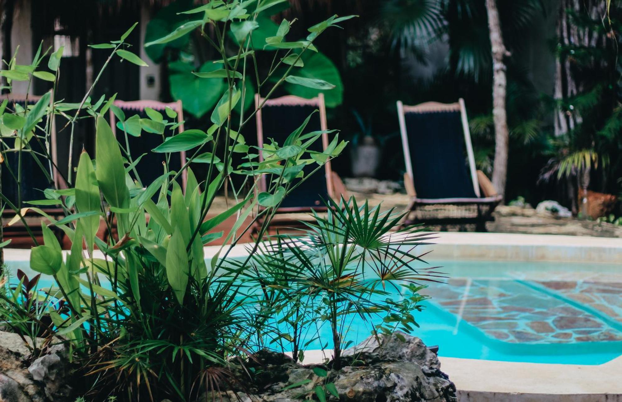 Verdeamar Eco Jungle Retreat 3*