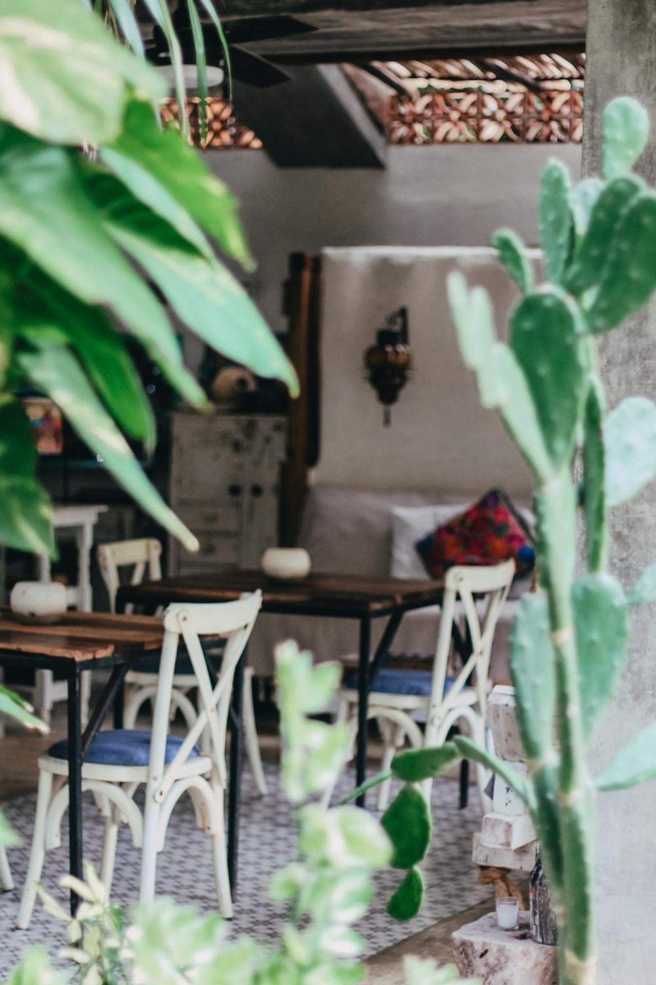 Verdeamar Eco Jungle Retreat Acomodação com café da manhã 