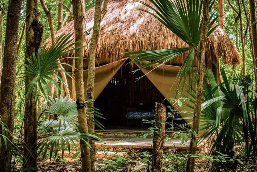 Natura Glamping Hotel
