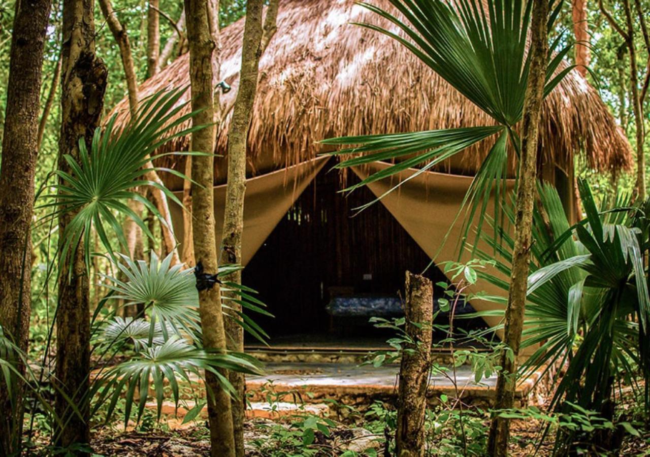 Natura Glamping Hotel 3*