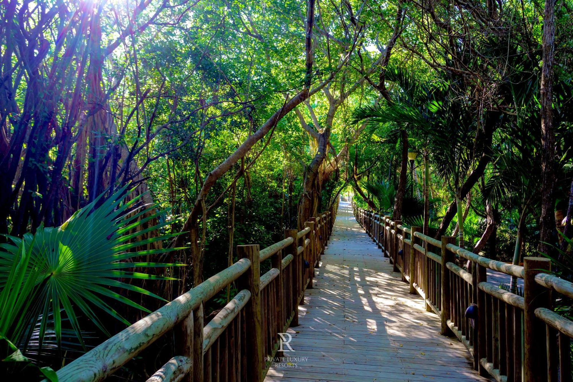 Estates One Bedroom- Riviera Maya Puerto Morelos