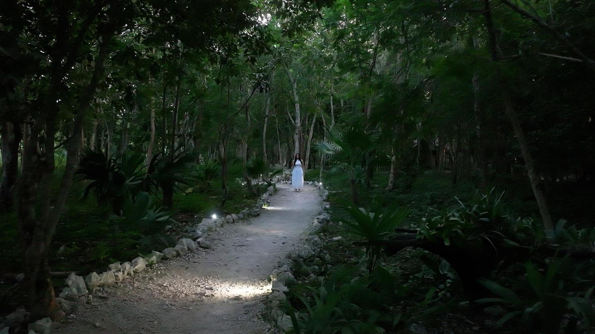 Hotel Natura Glamping