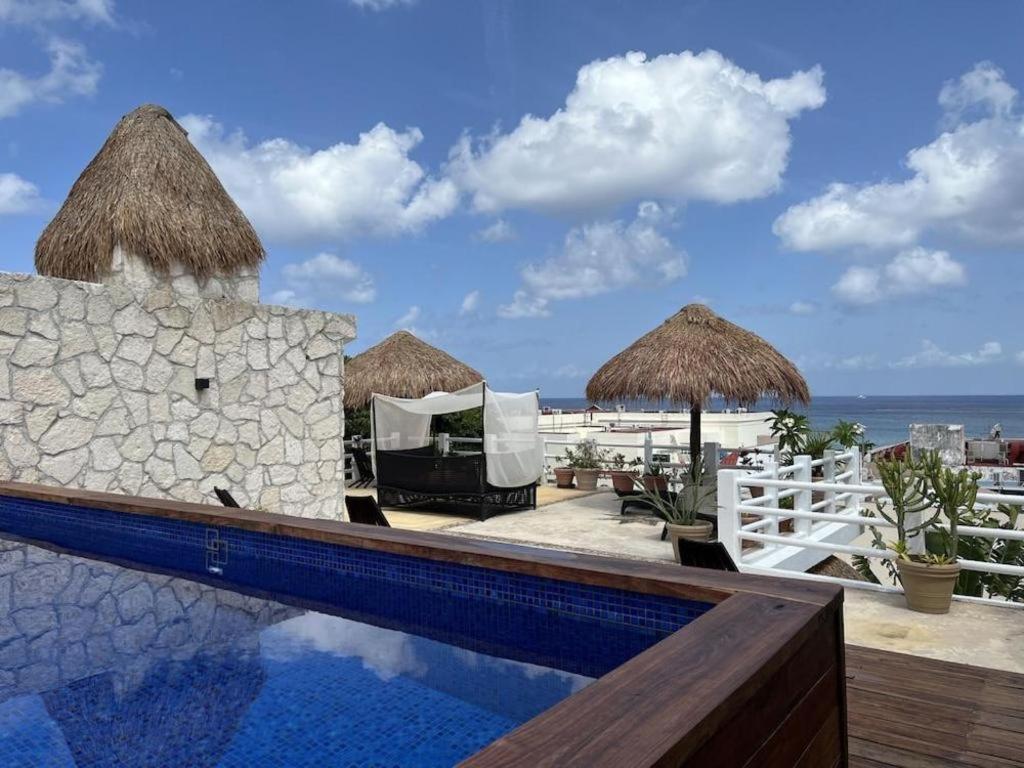 Flamingo Cozumel