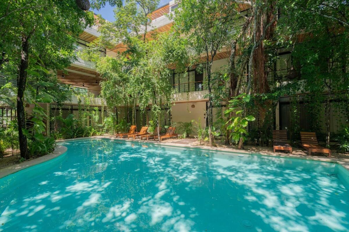 Acinte Apartment