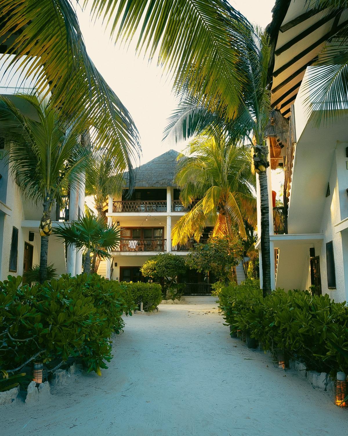 Mia Tulum Beachfront Resort - Ocean View Suites And Beach Club Hotel Tulum