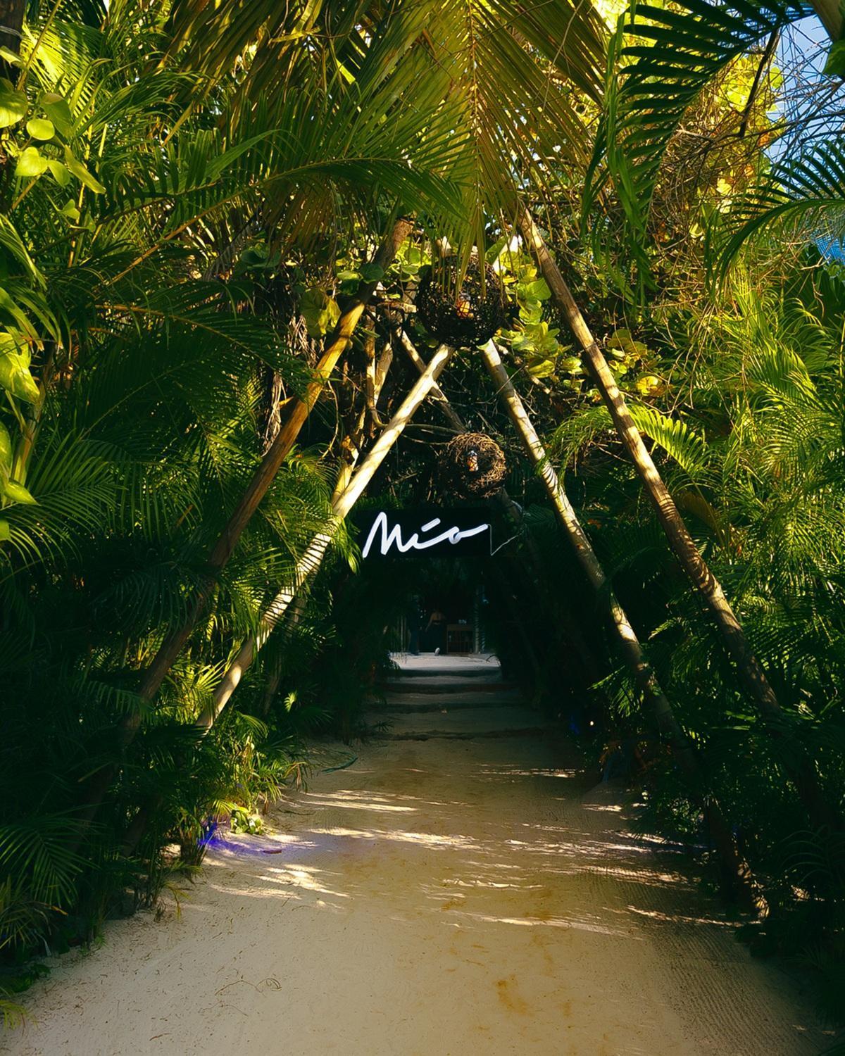 Mia Tulum Beachfront Resort - Ocean View Suites And Beach Club Hotel Tulum