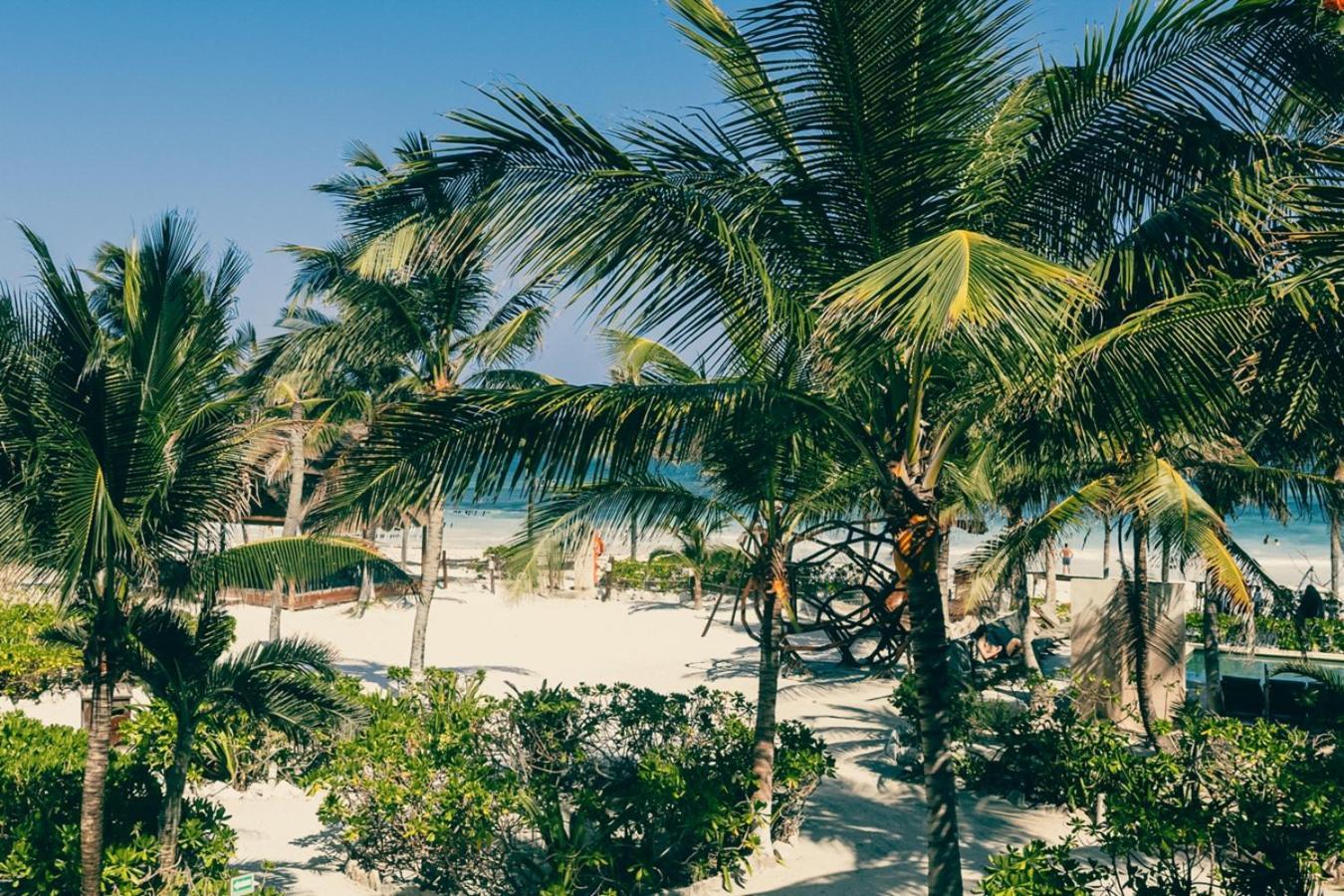 Mia Tulum Beachfront Resort - Ocean View Suites And Beach Club 4* Tulum