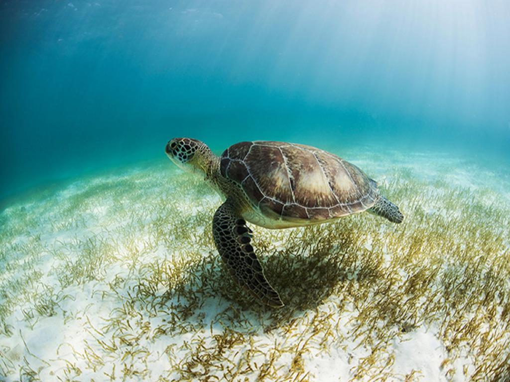 Secrets Riviera Maya - Adults Only 5* Akumal