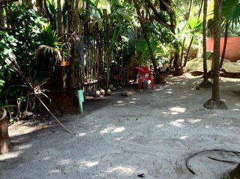 Hotel Cenote El Encanto *