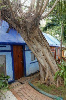 Amar Bed & Breakfast Puerto Morelos