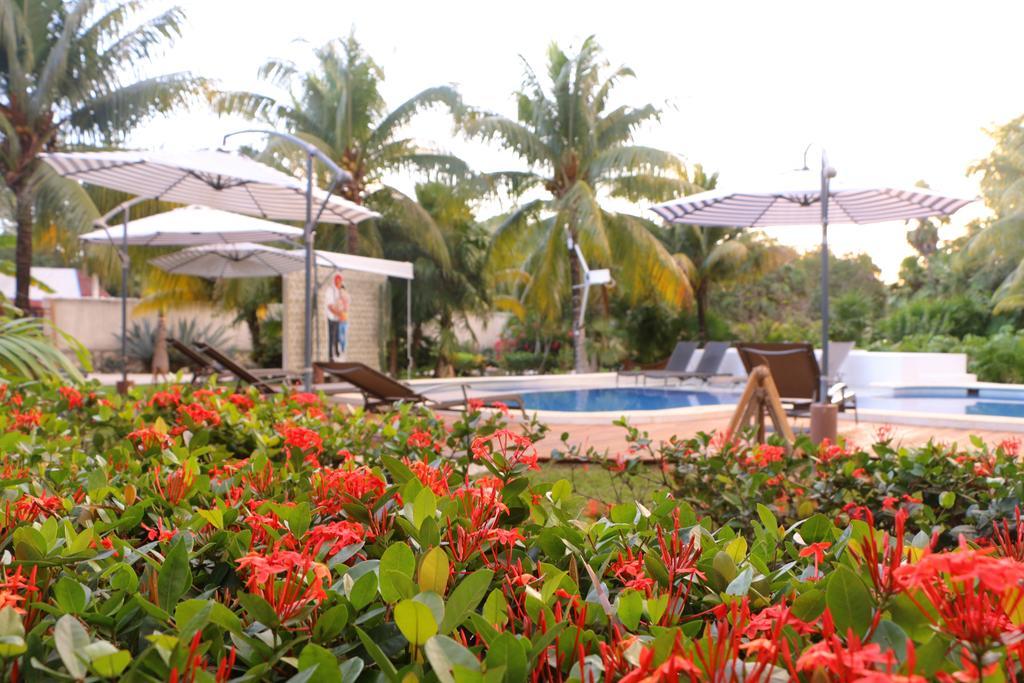El Capitan Casa de hóspedes