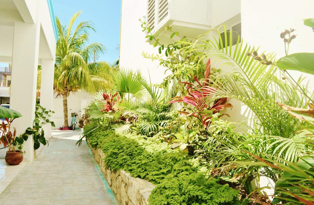 Corales Hotel