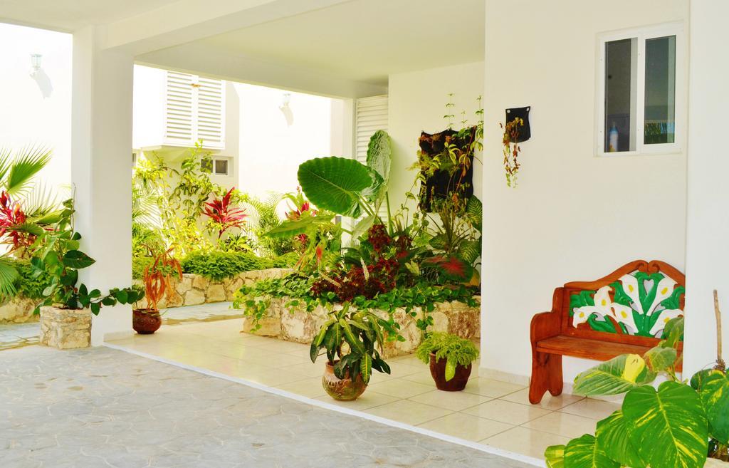 Corales Hotel 3*