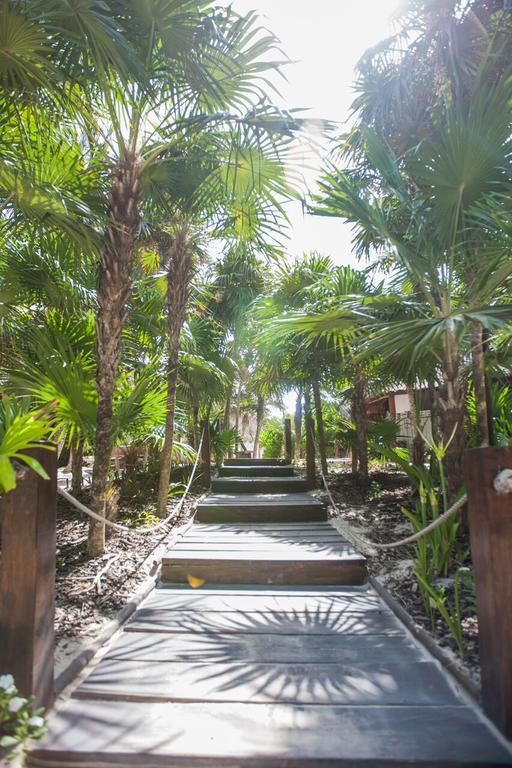 Casa Violeta Hotel Tulum