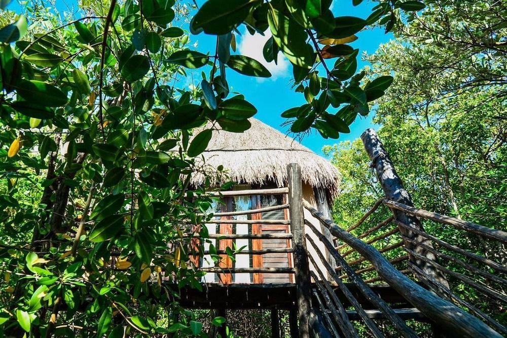 Manglex Eco Hotel Tulum Hotel