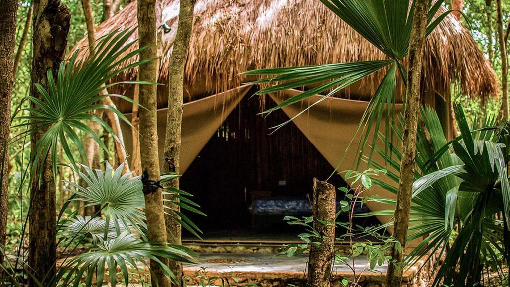 Natura Glamping 3*