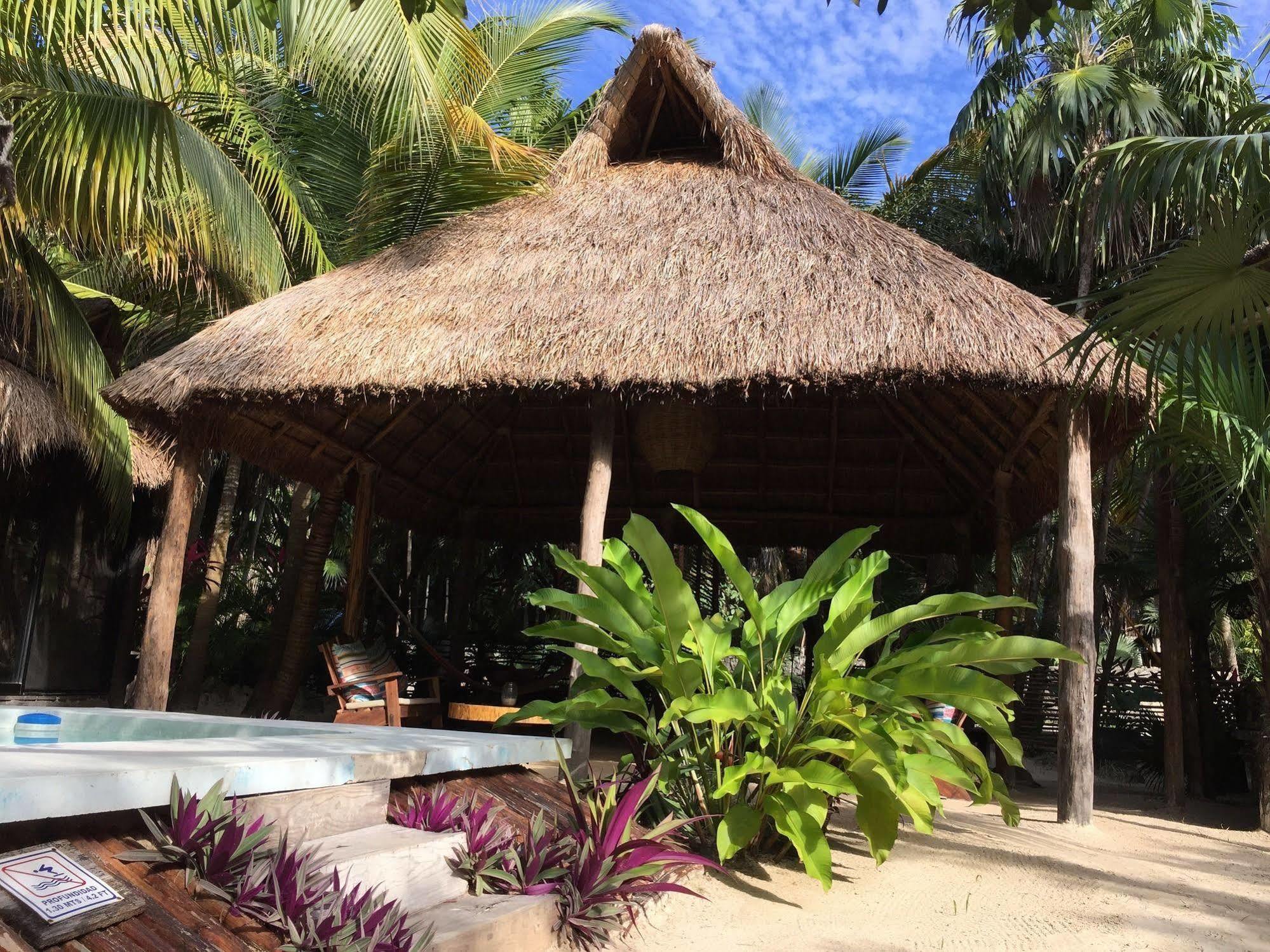 Hotel Manglex Eco Hotel Tulum 3*