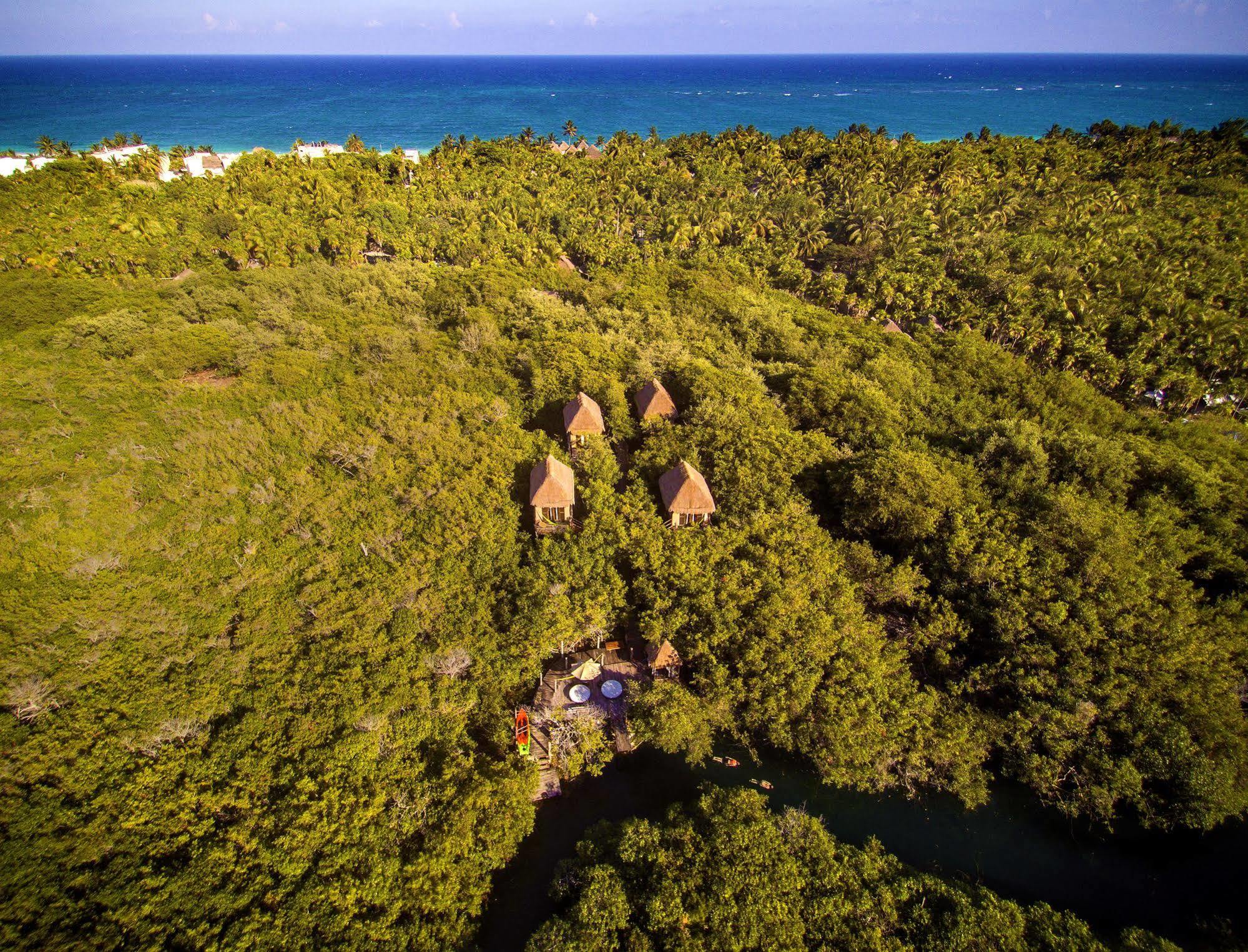 Hotel Manglex Eco Hotel Tulum