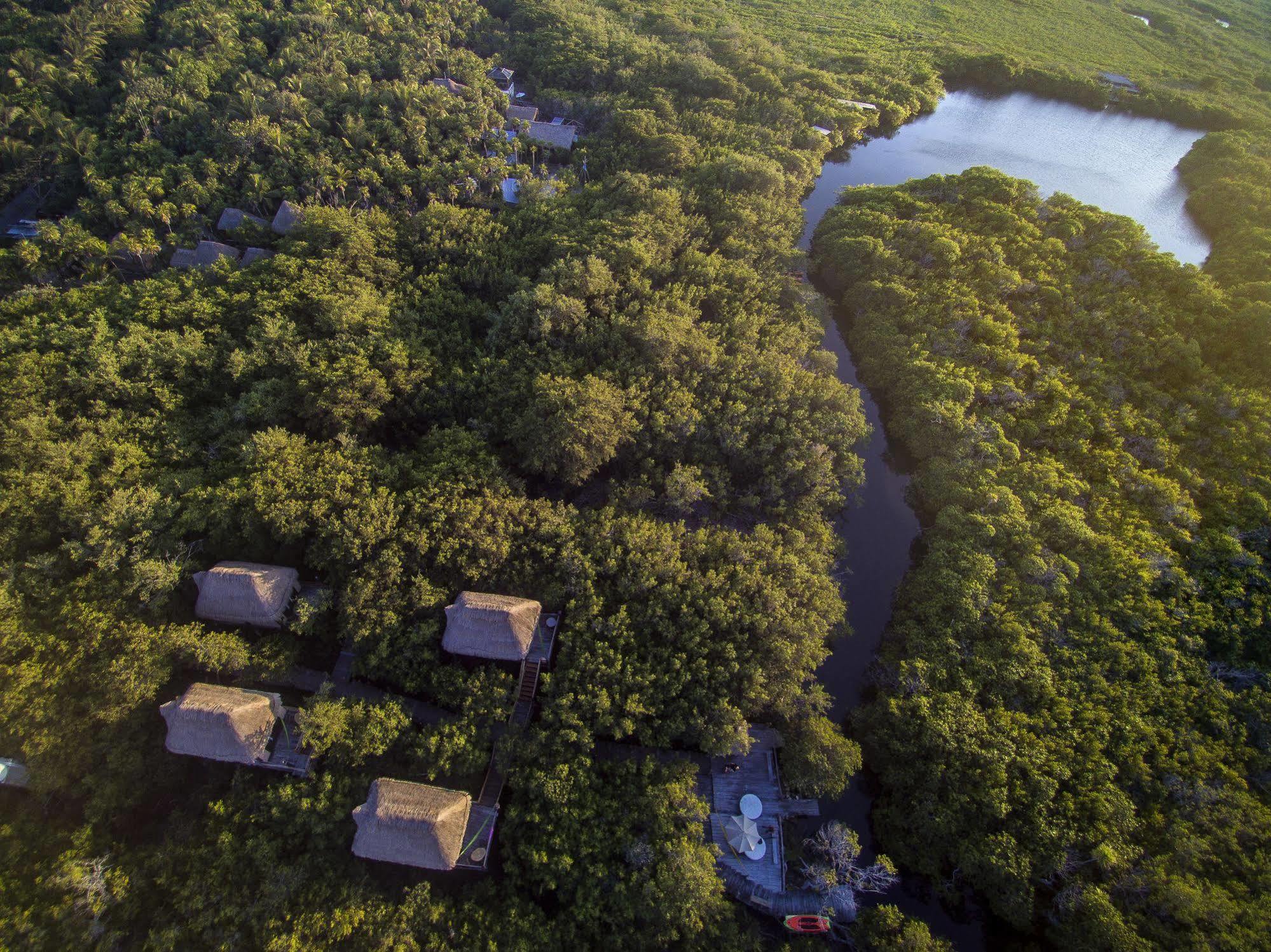 Manglex Eco Hotel Tulum