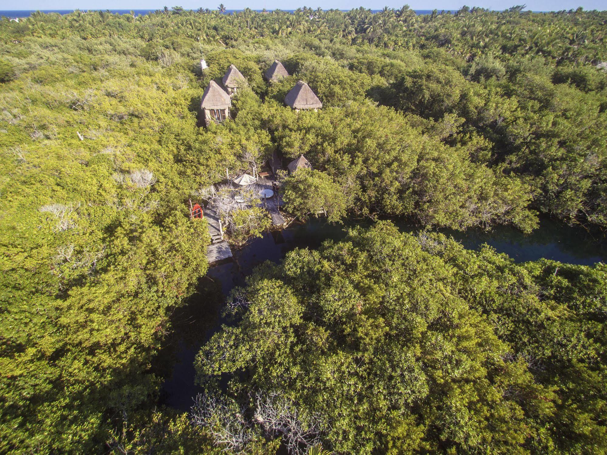 Manglex Eco Hotel Tulum
