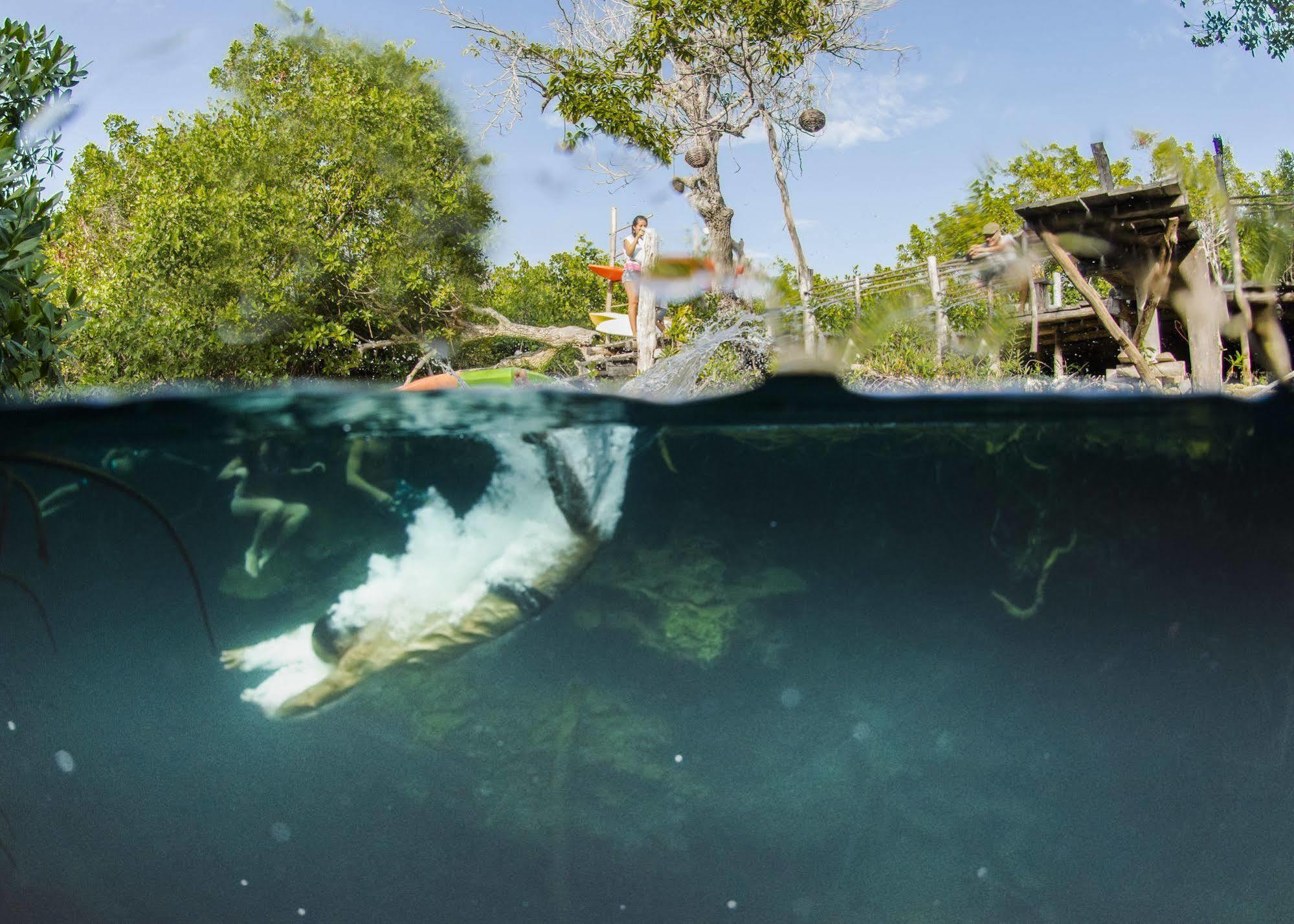 Manglex Eco Hotel Tulum