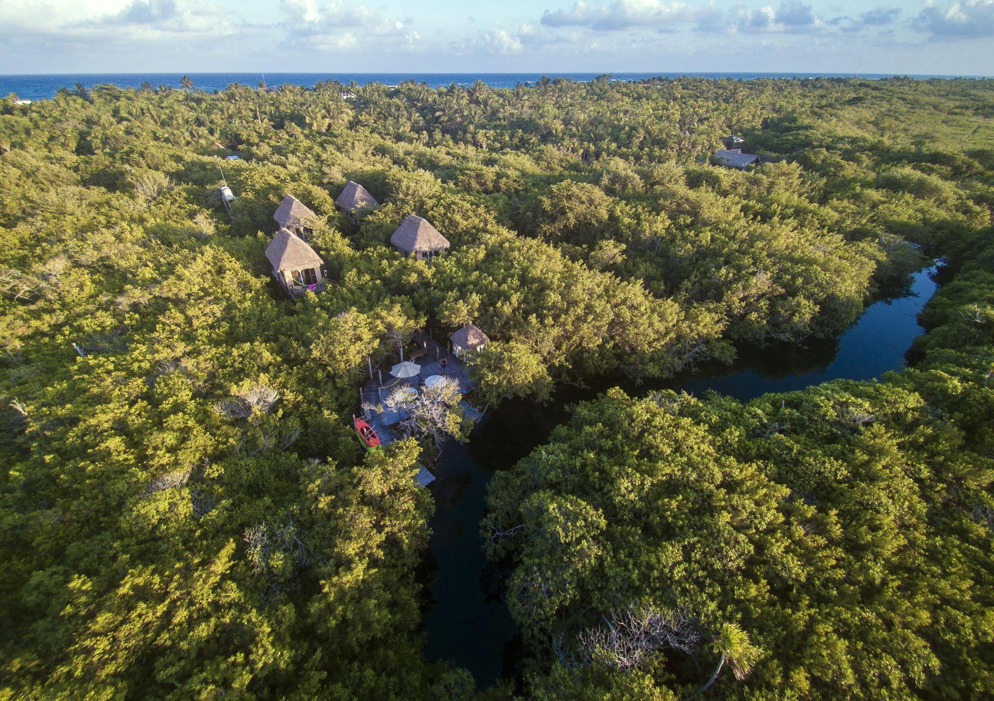 Hotel Manglex Eco Hotel Tulum Tulum