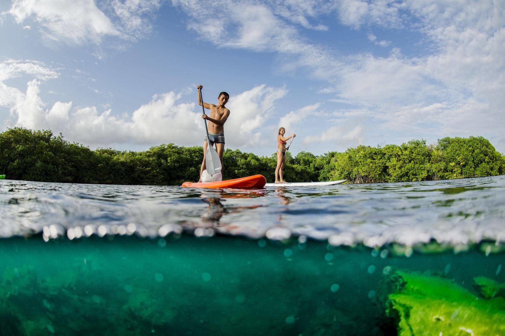 Manglex Eco Hotel Tulum