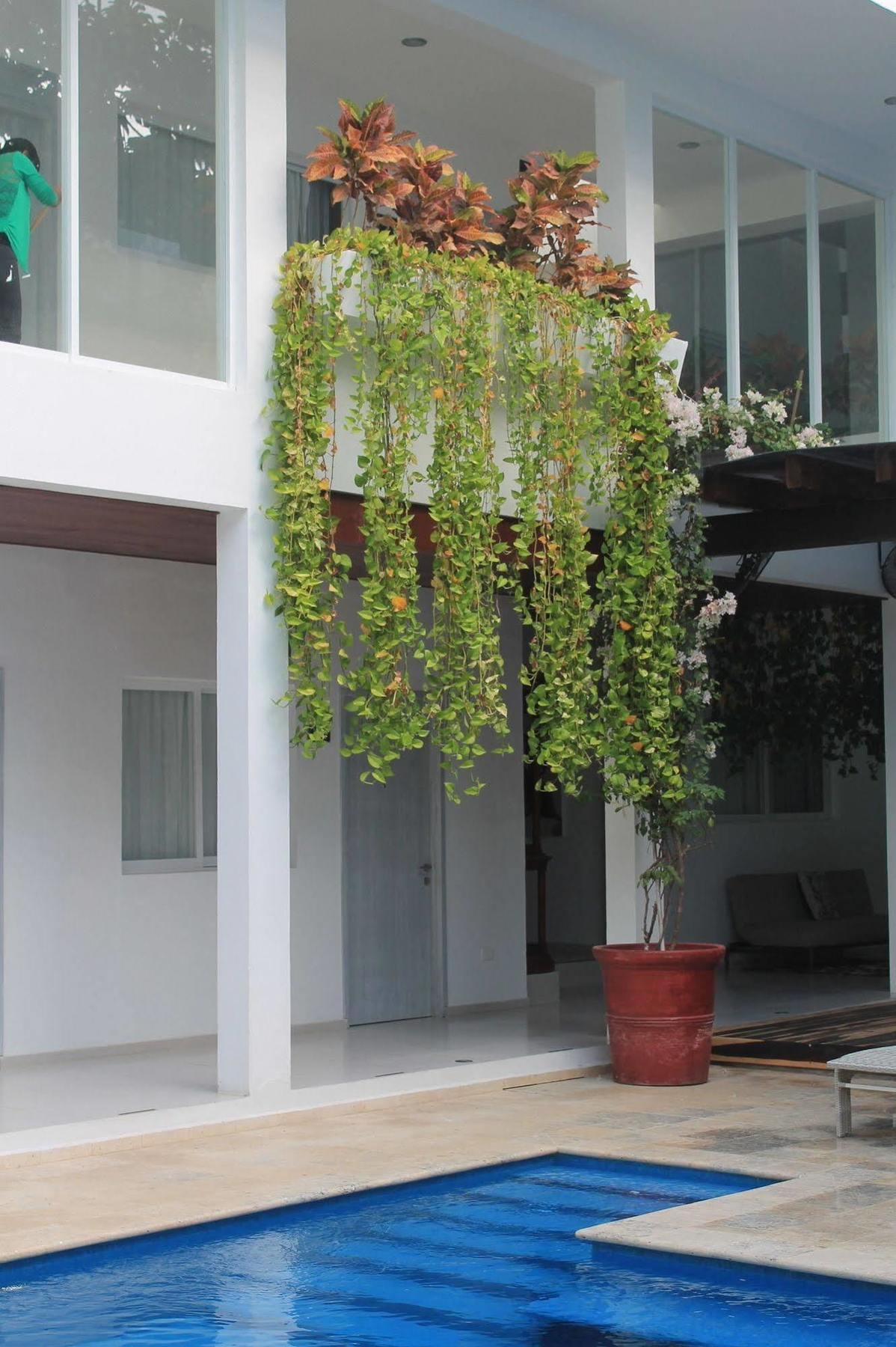 Casa Martin Hotel 3*