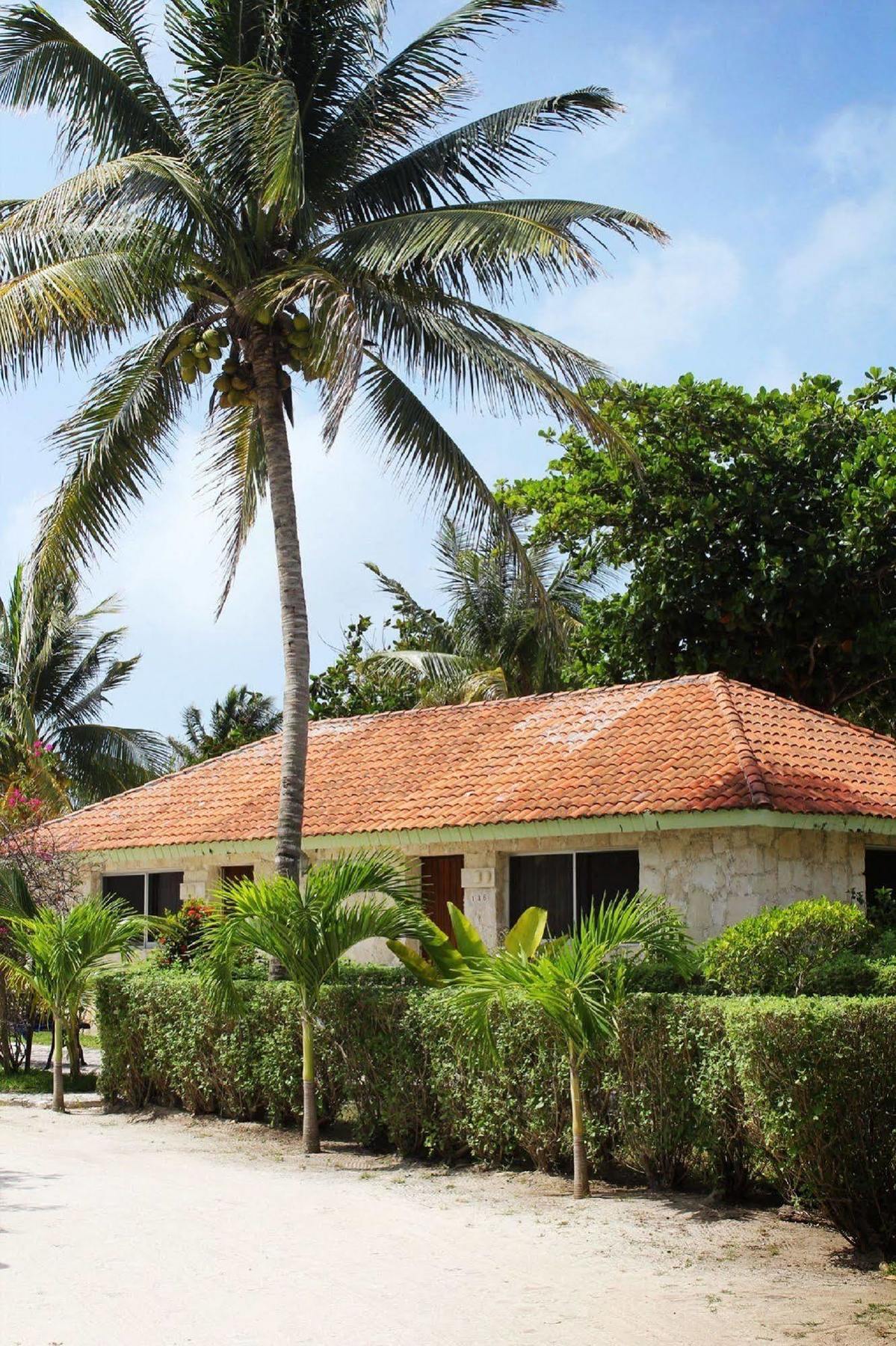 Hotel Club Caribe 3*