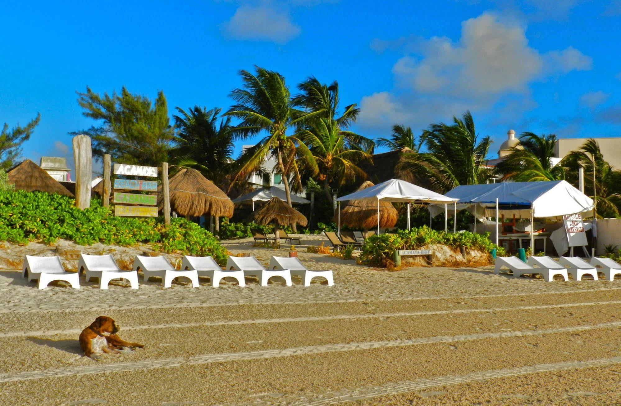 Acamaya Reef Hotel 3*