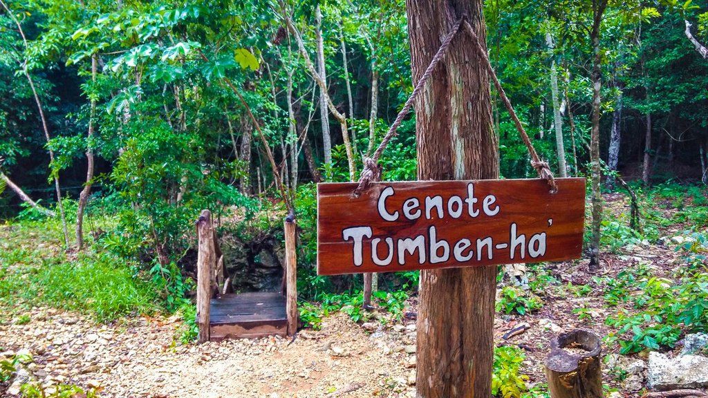 Hotel Natura Glamping