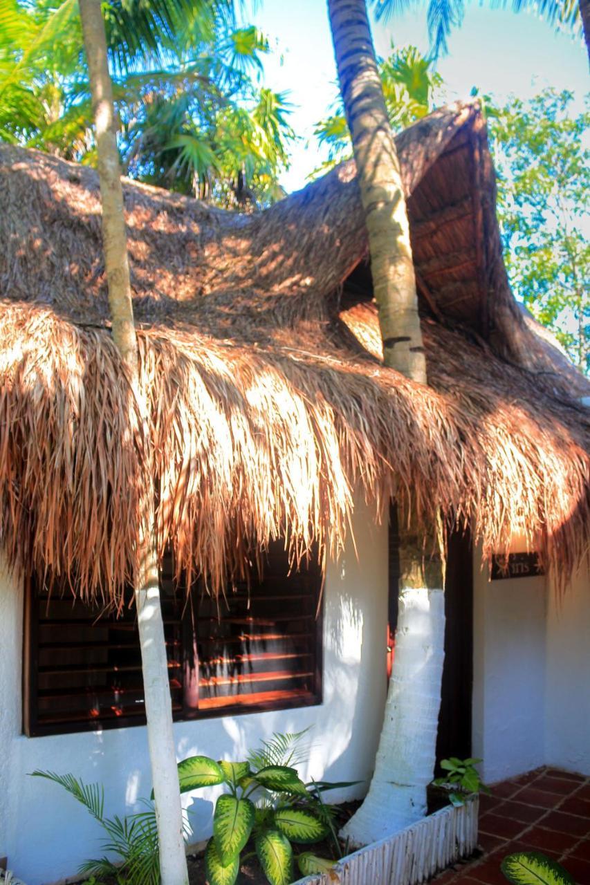 Hotel Casa Violeta