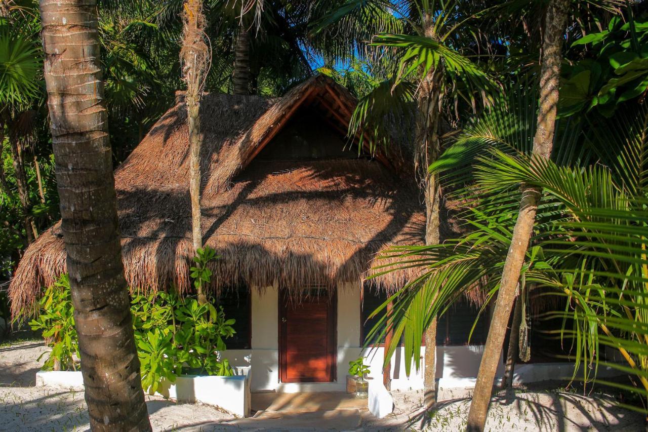 Hotel Casa Violeta 3*