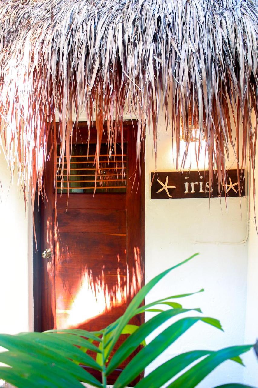 Casa Violeta Hotel 3*