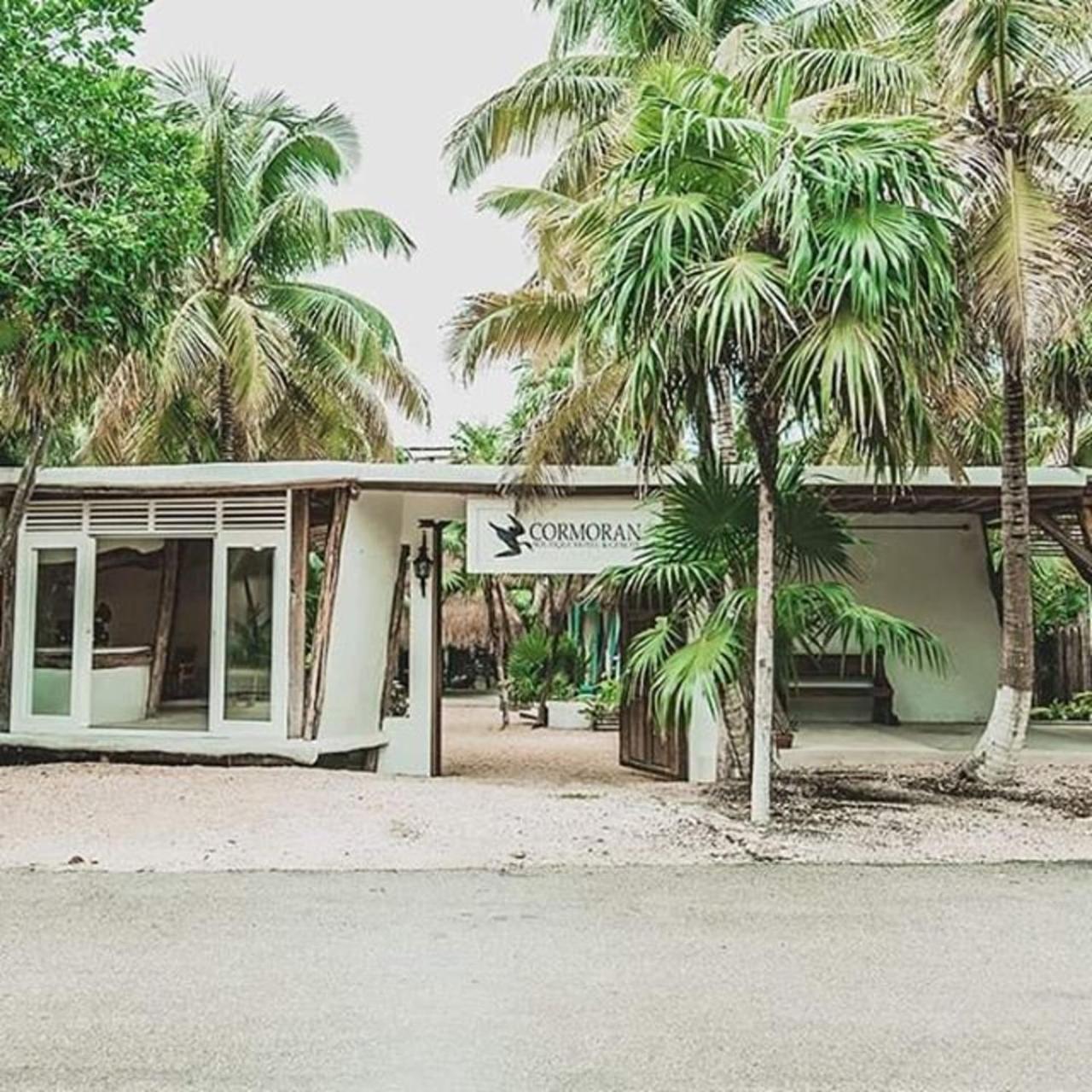 Cormoran & Cenote Hotel Tulum