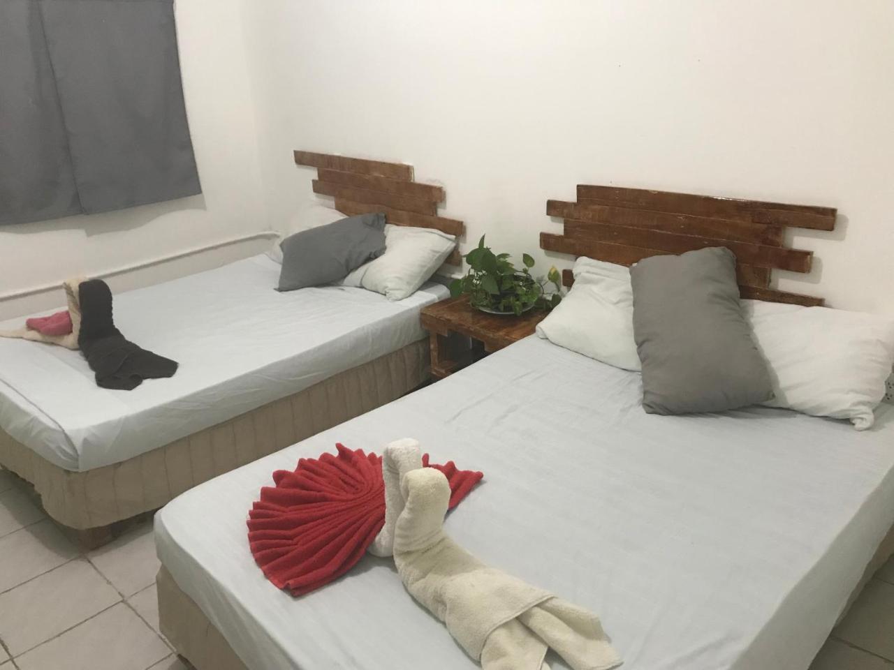 Guacamundo 5th. Ave Hostal