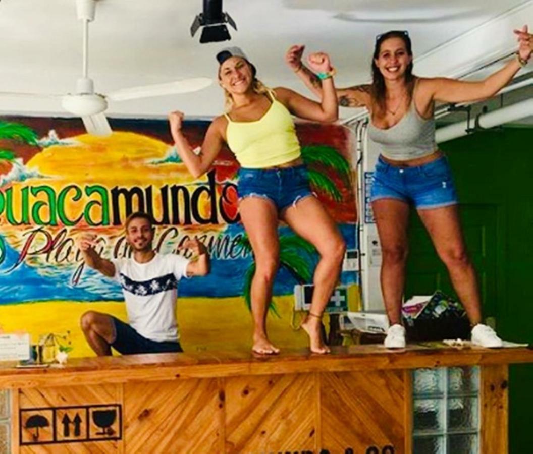 Guacamundo 5th. Ave Hostal Playa del Carmen