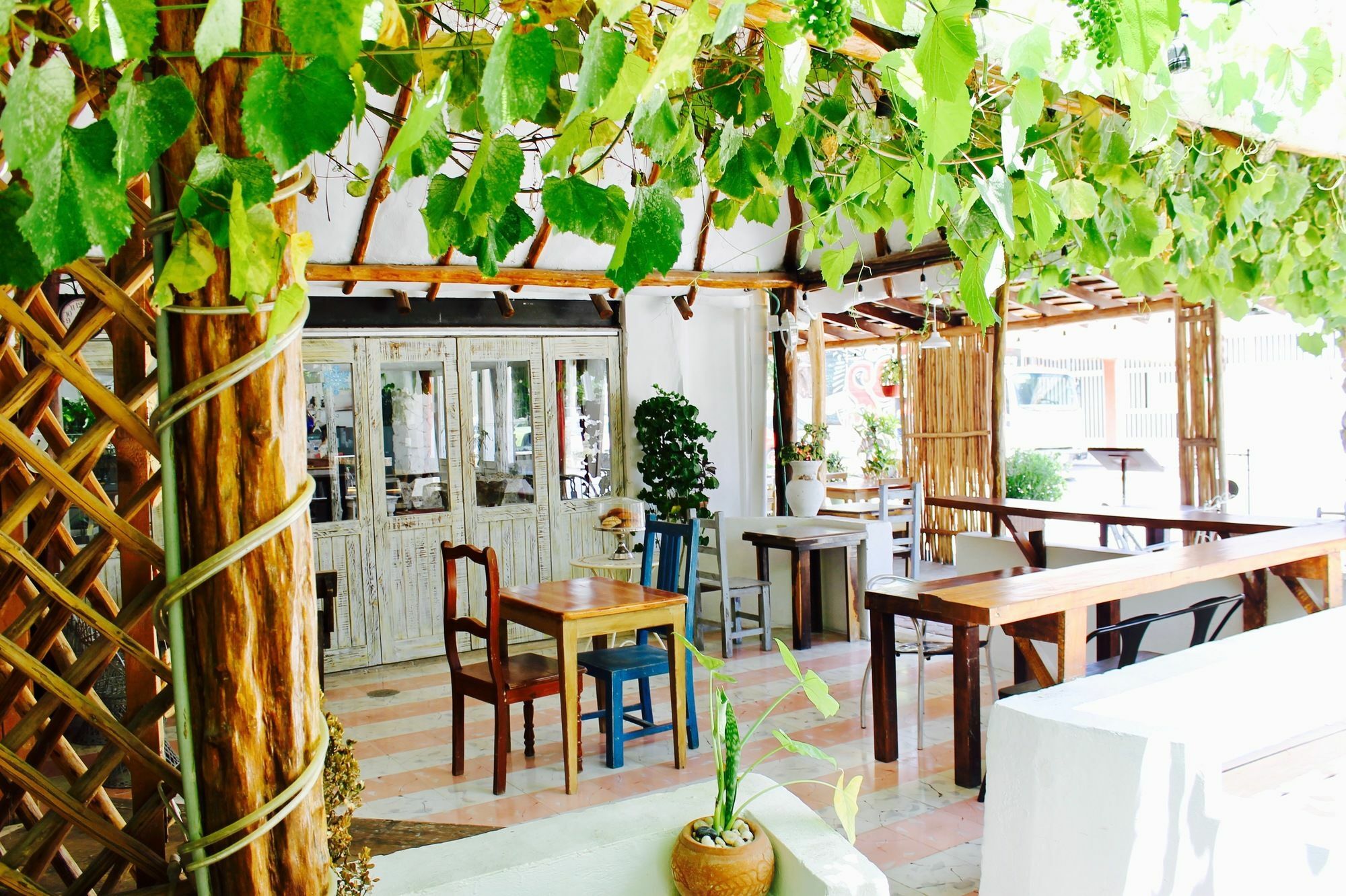 Boutique Puerto Morelos