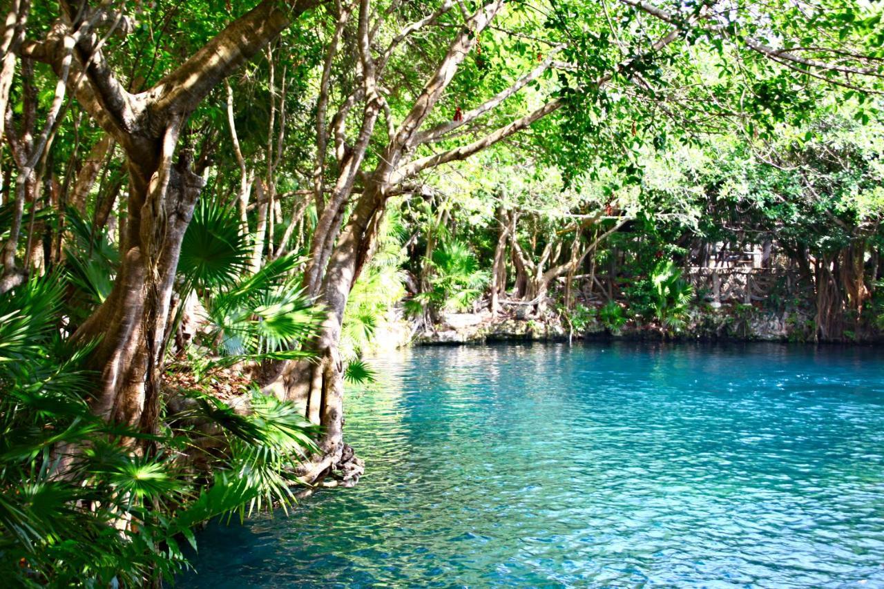 Sandos Caracol Eco Resort & Water Park (Adults Only) Resort Playa del Carmen