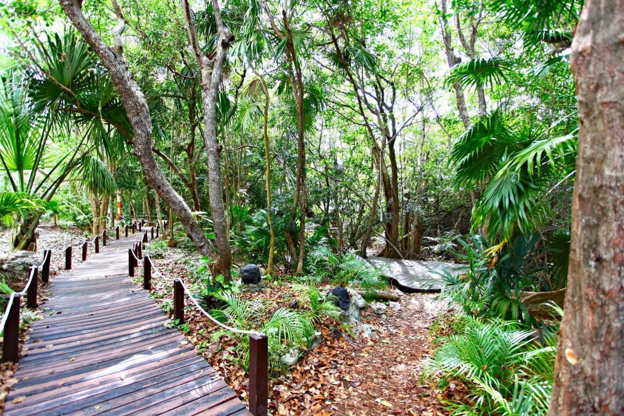 Sandos Caracol Eco Resort & Water Park (Adults Only) Playa del Carmen